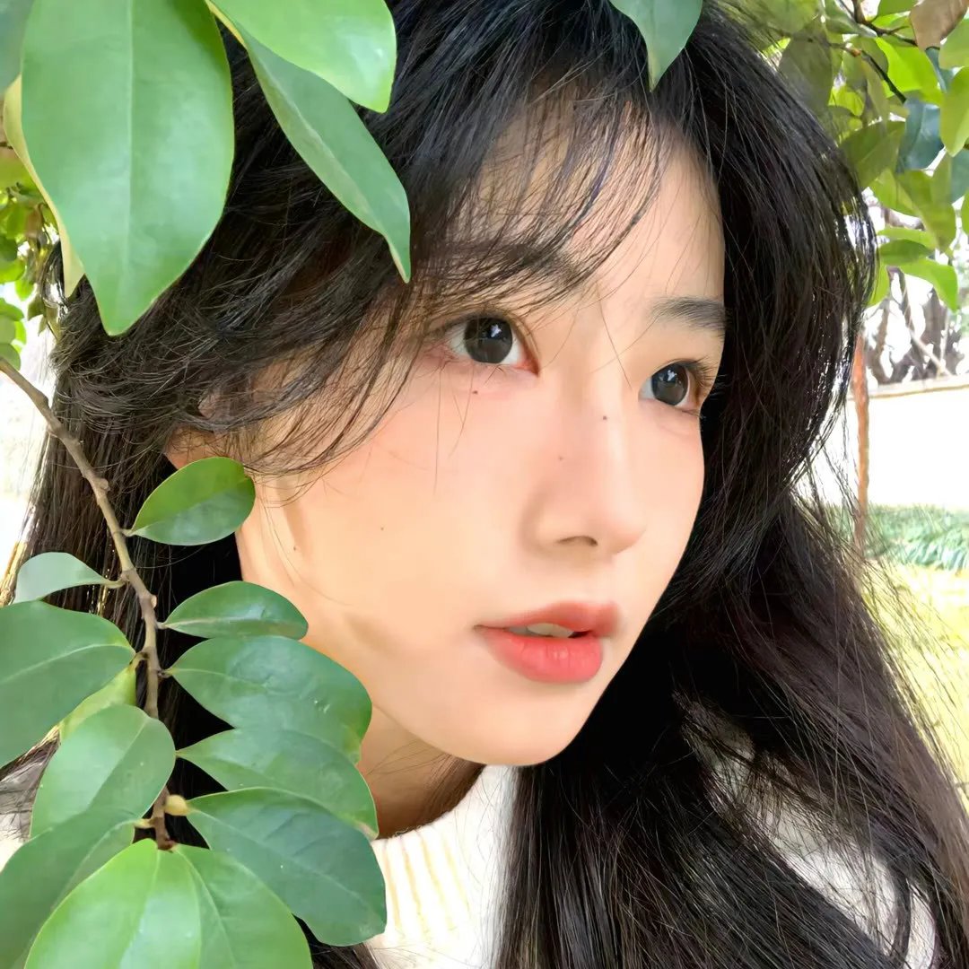 《屋顶上的少女》封面